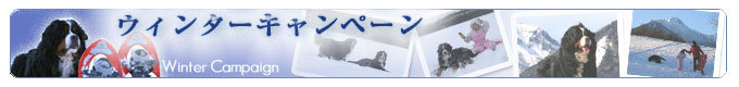 ウィンターキャンペーン