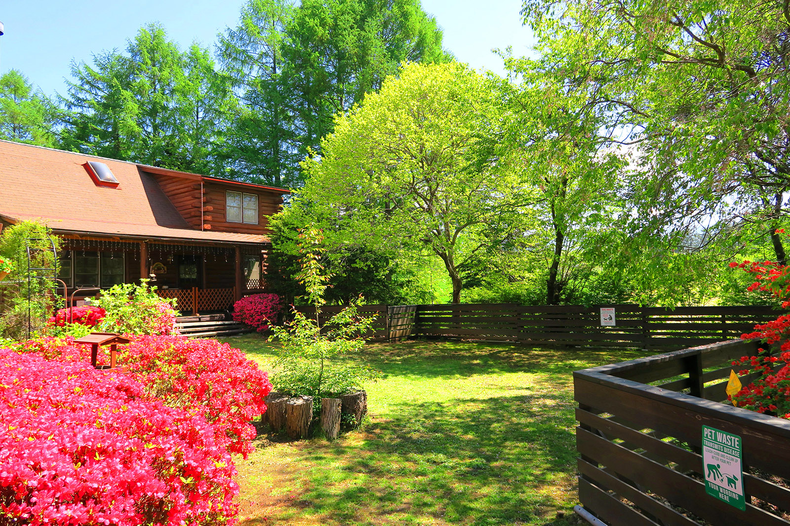 ペンション バーニーズ 八ヶ岳南麓清里高原ペットと泊まれる宿